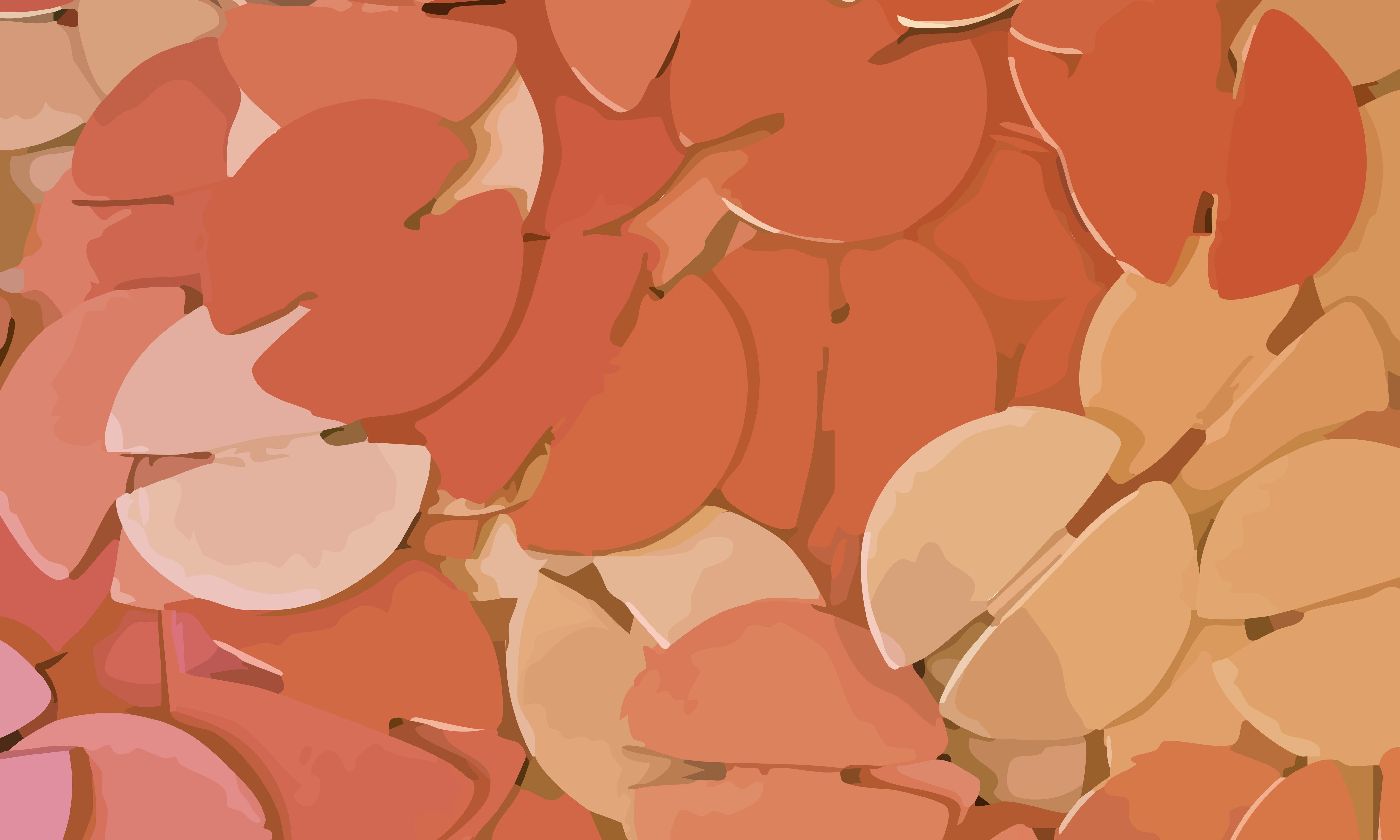 A collection of noook play® discs scattered on the floor.