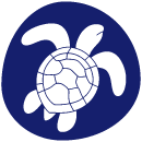 noook play® contains no plastics - not a single ounce. No turtles will be injured if you throw a noook® disc into the ocean!