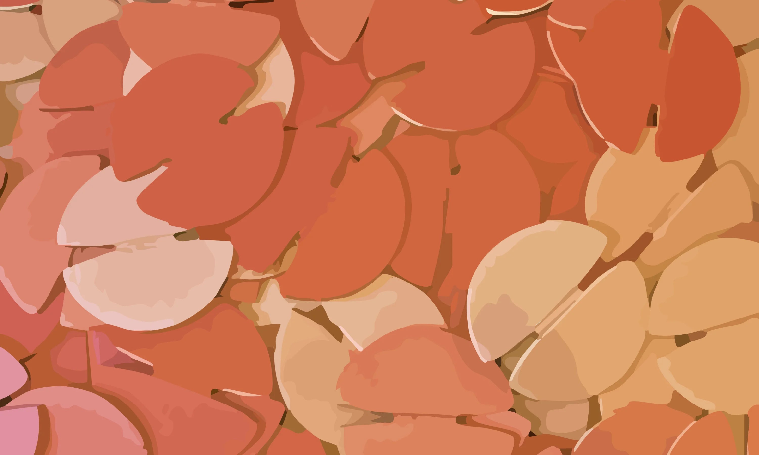 A collection of noook play® discs scattered on the floor.