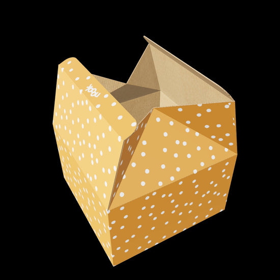 3D model of an open noook play® storage box showing compact, durable design for disc storage